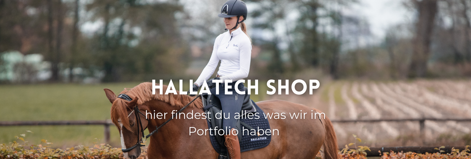 gesamtes Angebot