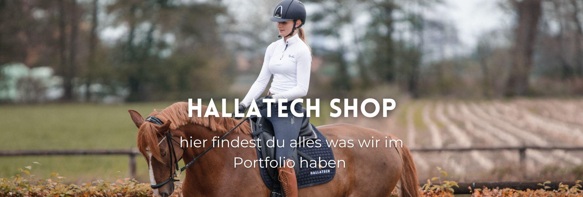 gesamtes Angebot