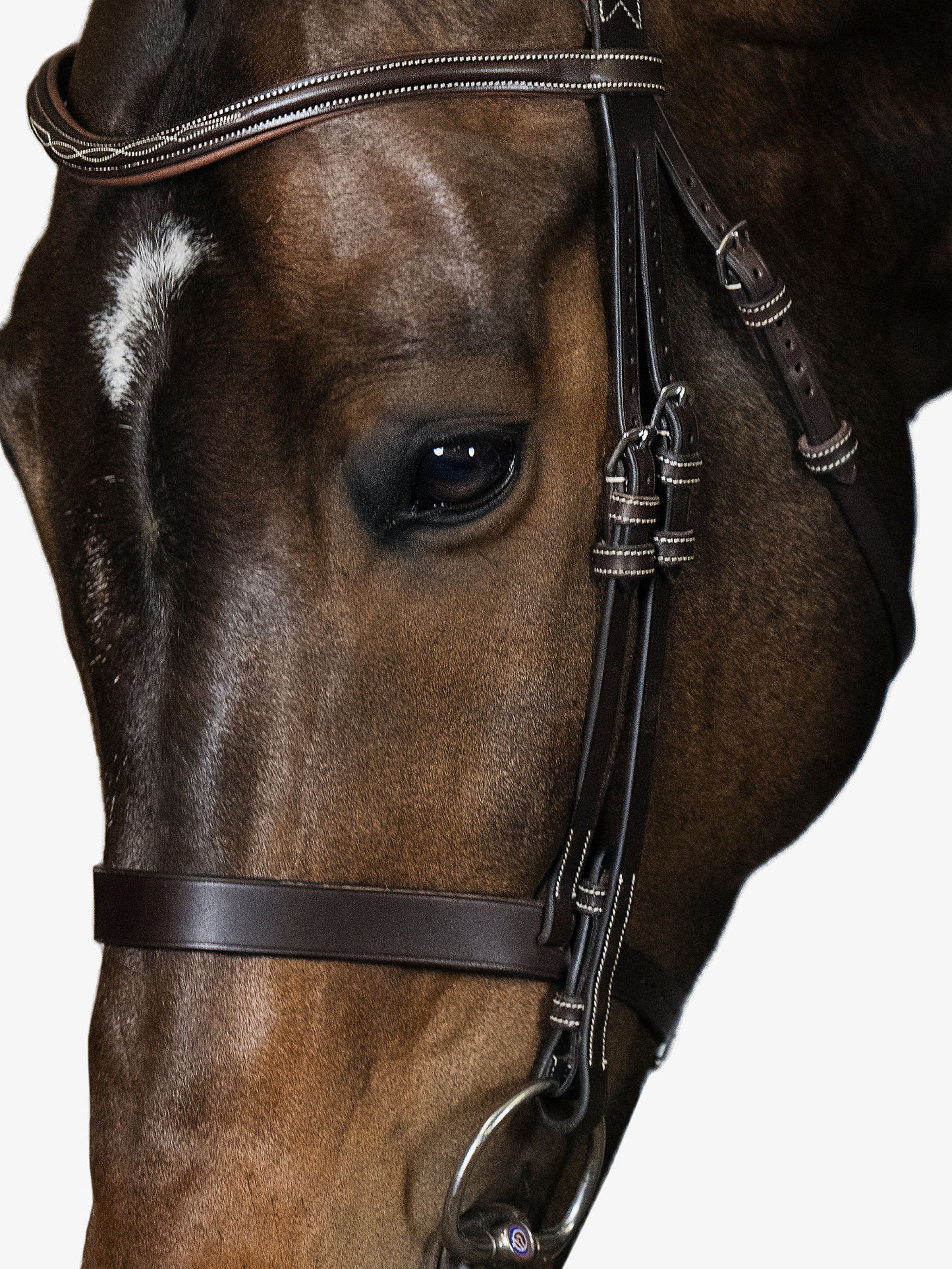 Trensenzaum "Wellington Hunter"