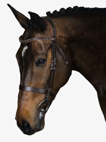 Trensenzaum "Wellington Hunter"