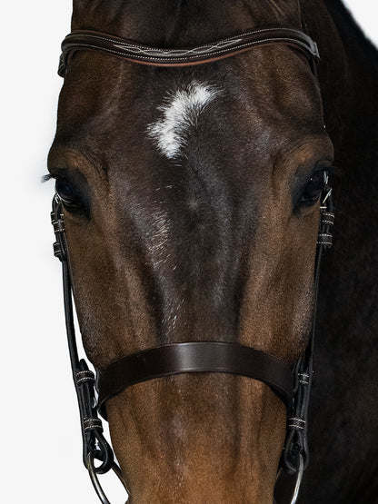 Trensenzaum "Wellington Hunter"