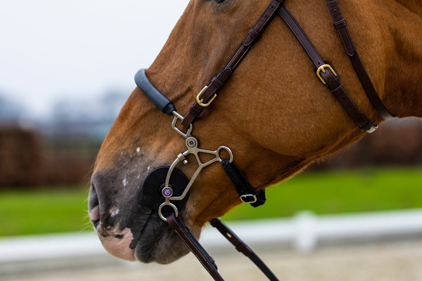 Trense "Hickstead"