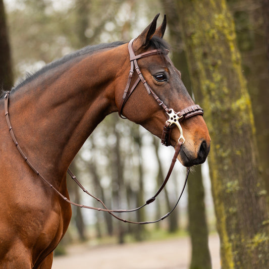 Trense "Hickstead"