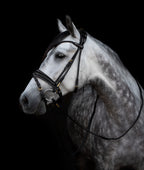 Trense - "Edinburg"